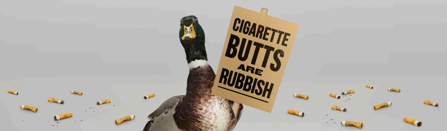Butt Box Duck Image